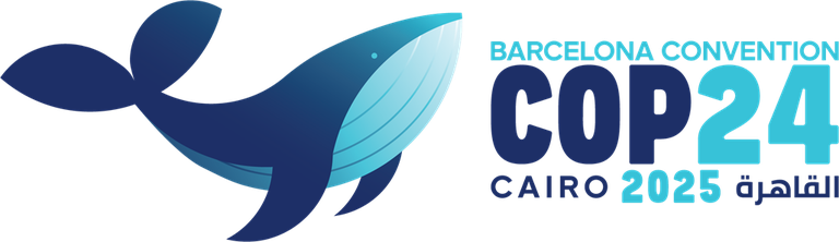 COP24 - Cairo 2025.png COP24 - Cairo 2025.png