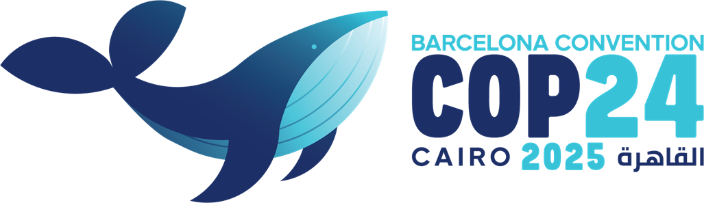 COP24 - Cairo 2025.png