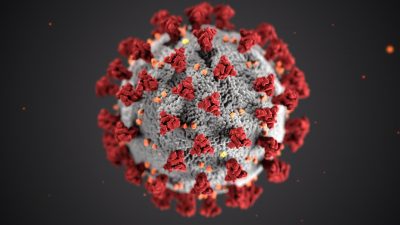 Coronavirus.jpg