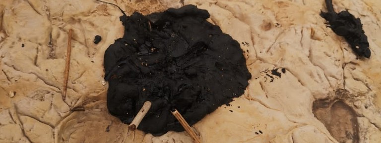 MAU_REMPEC_Lebanon_Survey March 2021.jpg