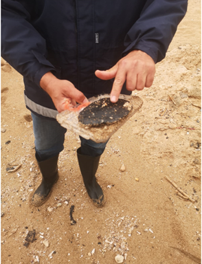 MAU_REMPEC_Lebanon_Survey March 2021.png