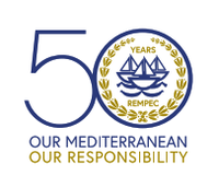 50th Anniversary High-Level Meeting