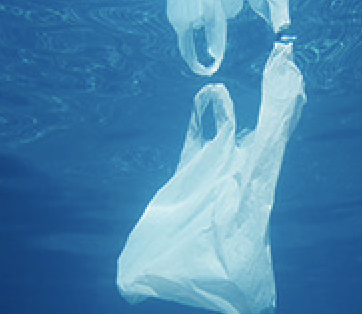 Global project launched to tackle plastic litter from ships and fisheries