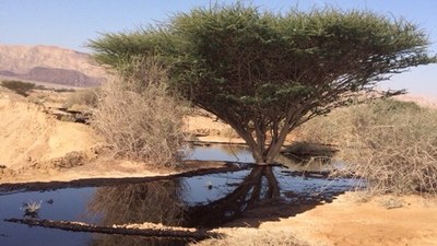 Israeli National Parks Authority