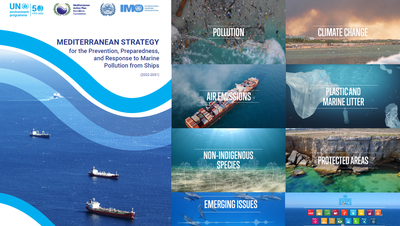 Mediterranean Strategy (2022-2031)