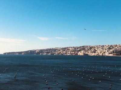 COMMUNIQUÉ DE PRESSE Le MedProgramme: un nouvel élan pour dépolluer la mer et le littoral méditerranéens et consolider l’intégrité des écosystèmes