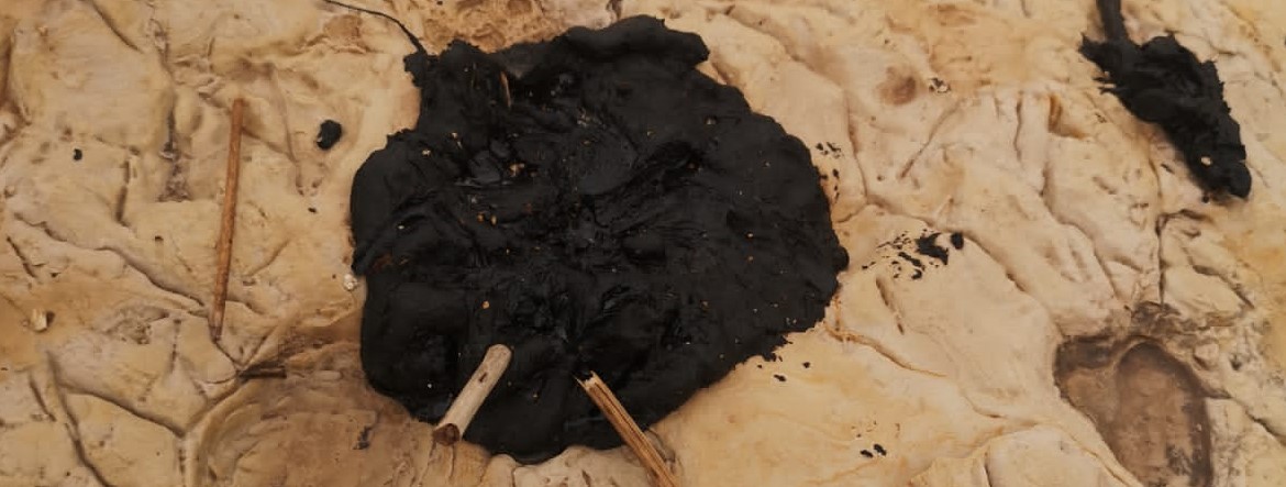 MAU_REMPEC_Lebanon_Survey March 2021.jpg