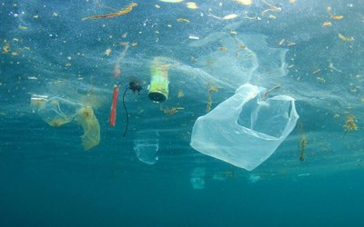 Déchets marins