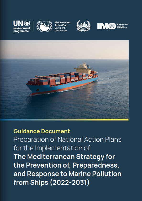 Front page Med Strat NAPs - EN.png