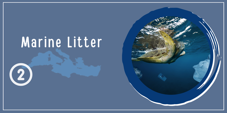 Illustrated banner of Marine litter