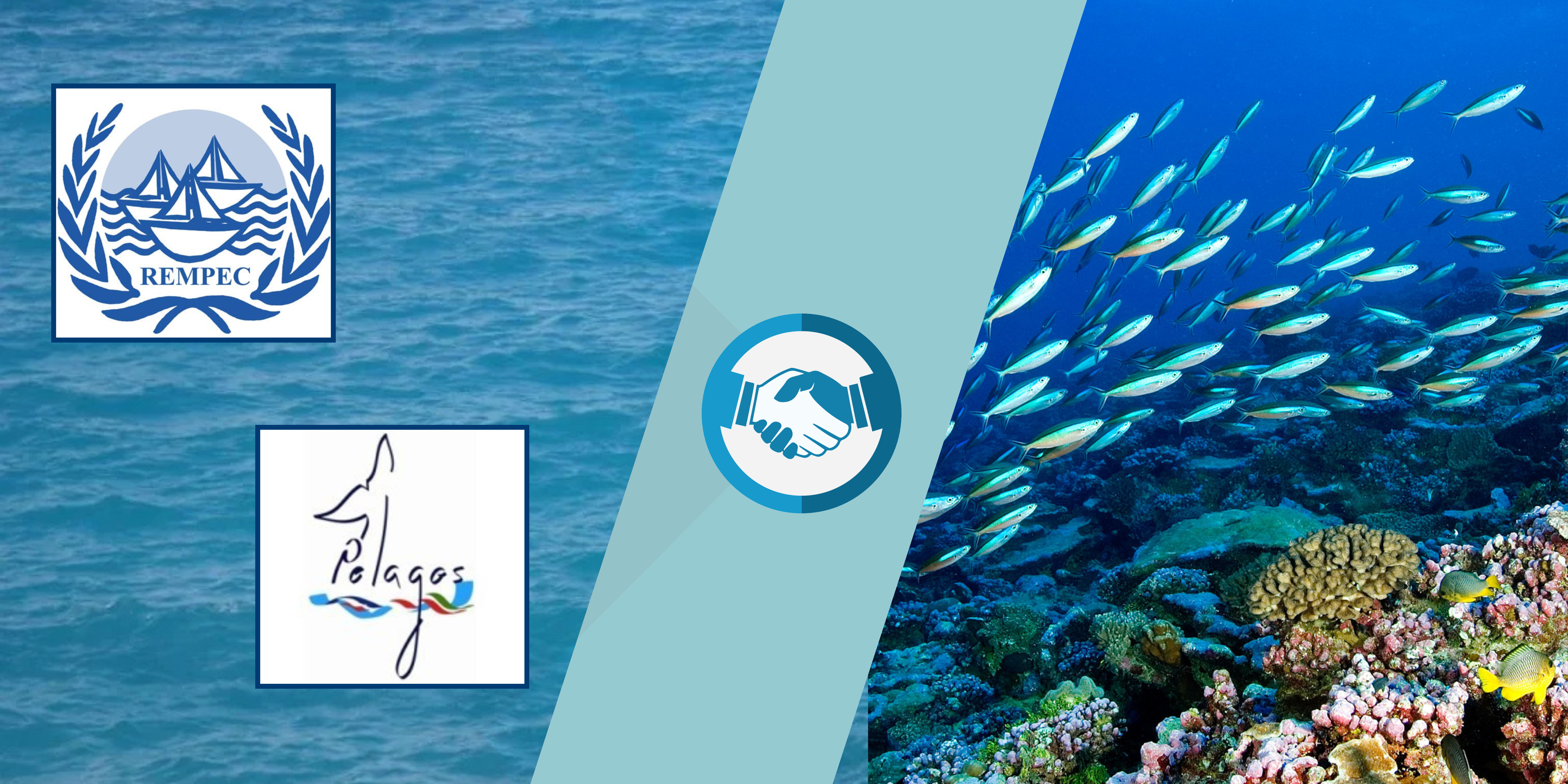 REMPEC Pelagos agreement.png