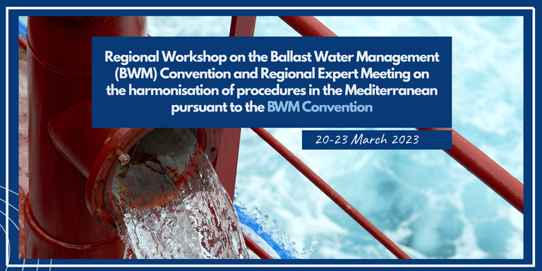 SCAT Workshop 2022, Israel (55).png