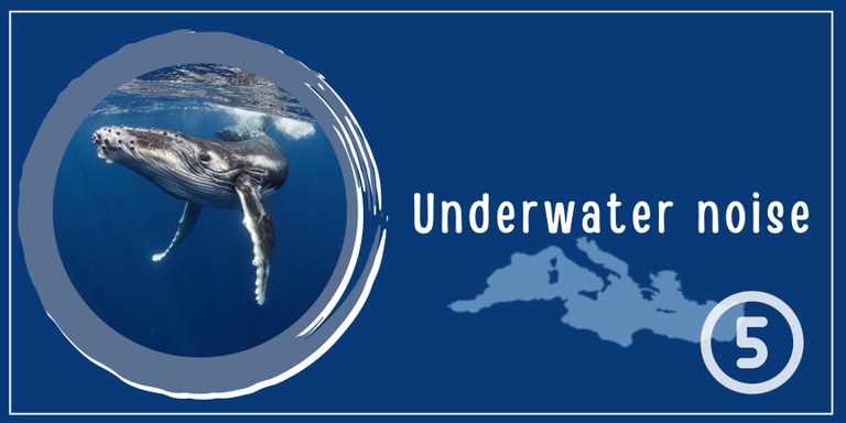 Illustrated banner of underwater noise